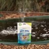 Clean Pond Pods 12 Pack - Image 3