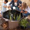 No Dig Nature Pool - Image 3