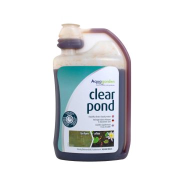 Clear Pond