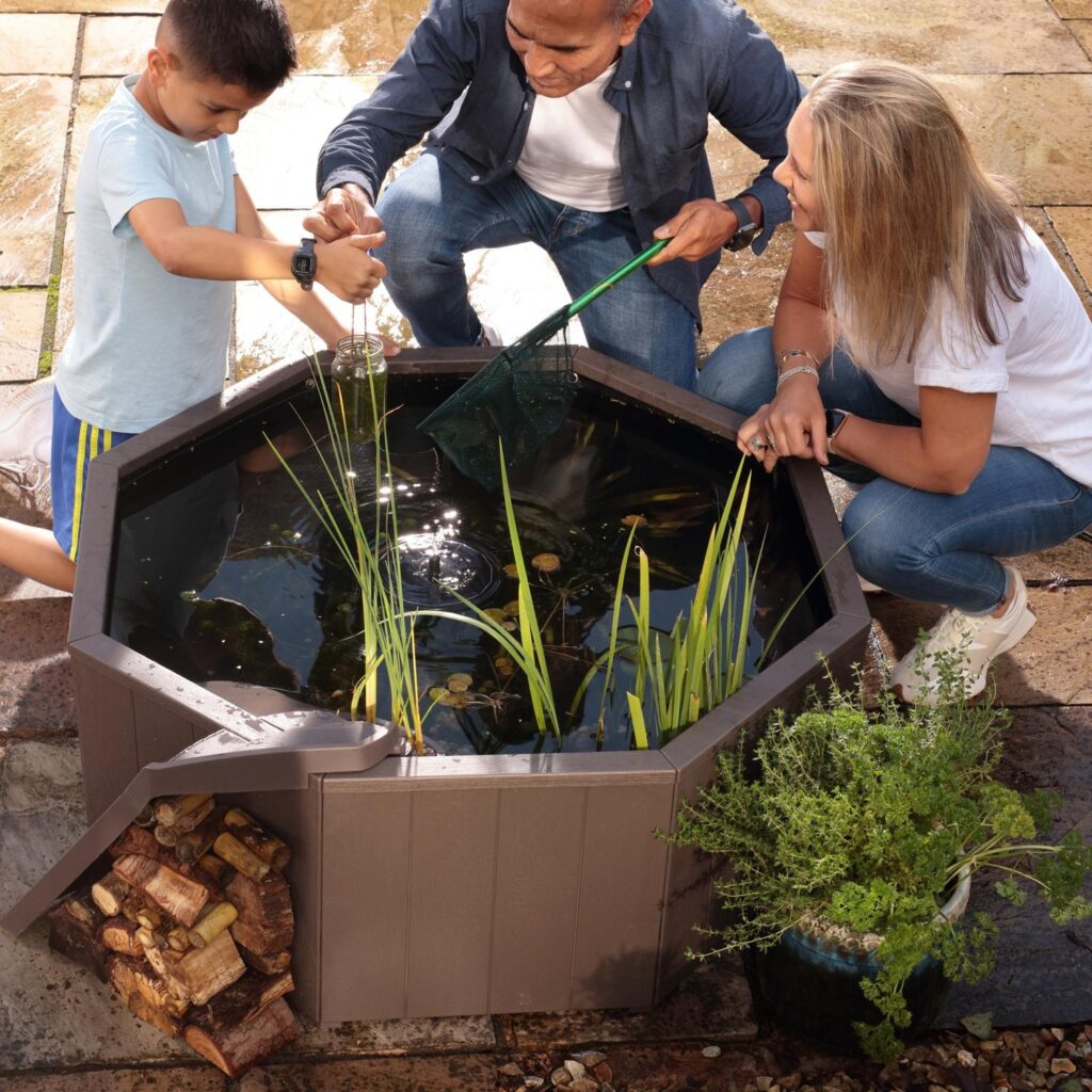 Piscine naturelle sans creusage - Image 3