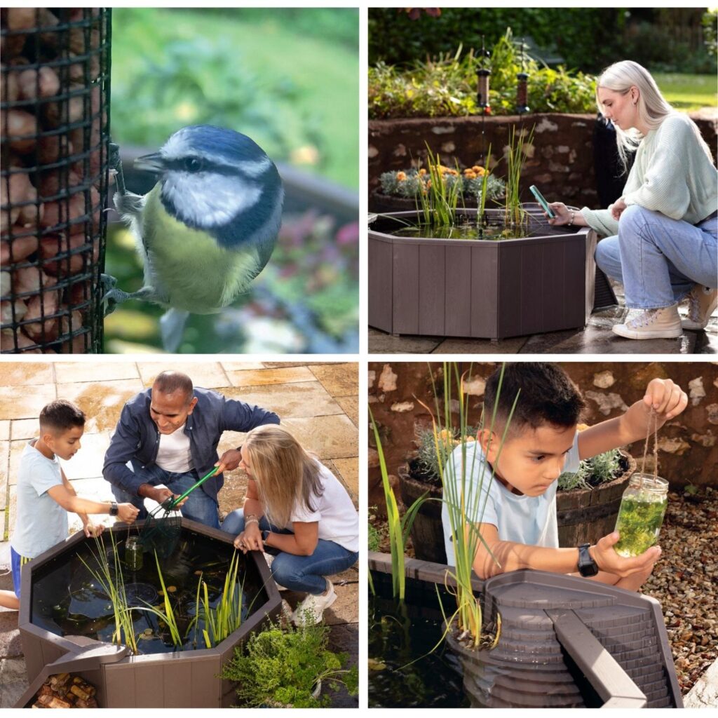 Piscine naturelle sans creusage - Image 4